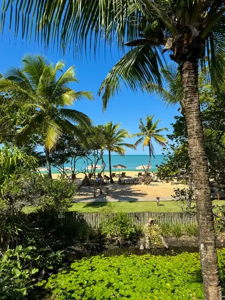 Vista dos jardins do Amaia para a praia