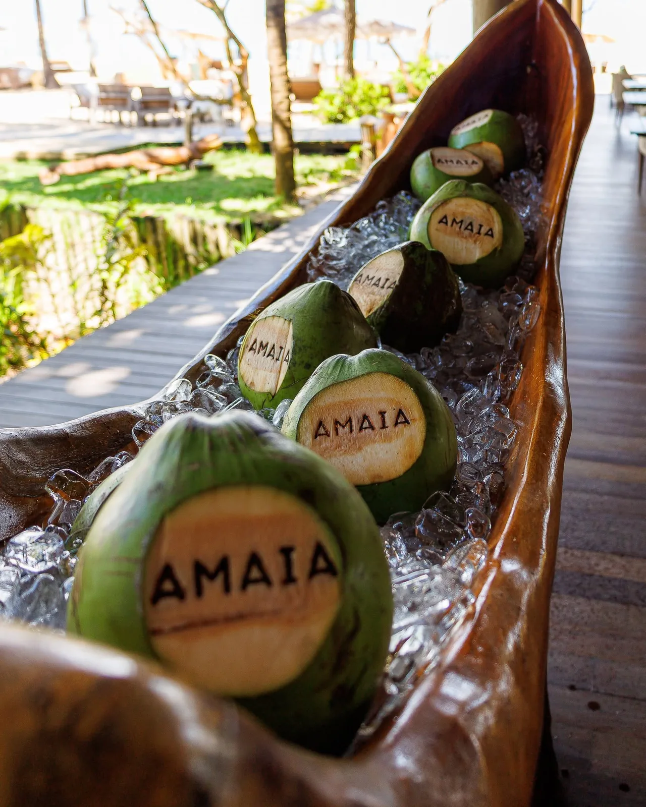 Águas de coco do Amaia servidas sobre gelo